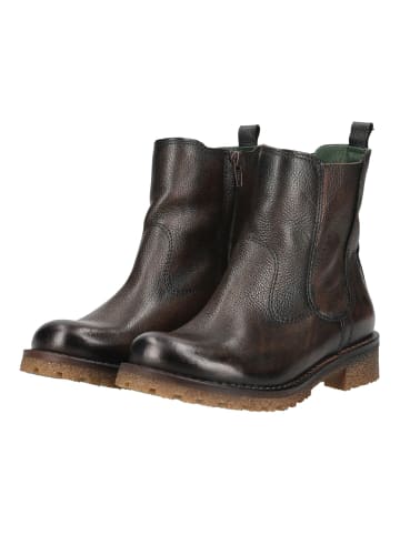 Felmini Stiefelette CASTER Cognac