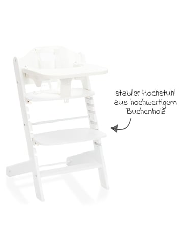 fillikid 2in1 Hochstuhl Pia mit 5-Punkt-Gurt, in weiss