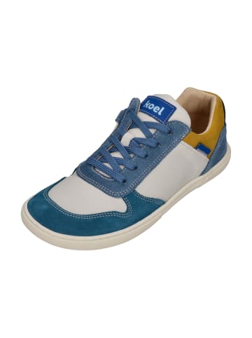 KOEL Sneaker Low DATE SUEDE  08M020.101-700 in bunt