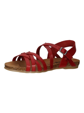 Cosmos Comfort Sandalen in Rot