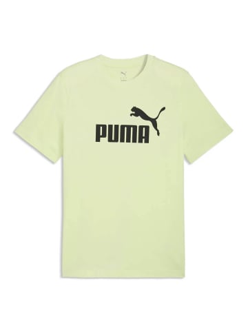Puma T-Shirt 1er Pack in Hellgrün (Apple Spritz)