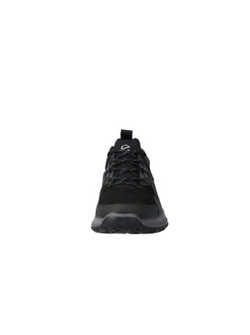 Ecco Sneaker Ult-Trn M in black/black