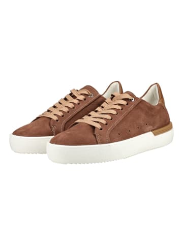 ara Sneaker in Mocca