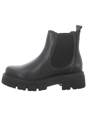 Apple of Eden Stiefelette in schwarz