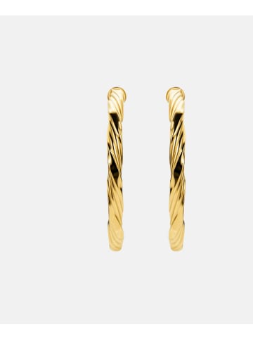 Vanlere Creolen aus 375 Gelbgold