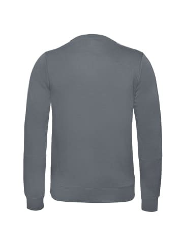 Champion Sweatshirt Crewneck in grau