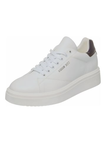 Steve Madden Sneaker in Weiß