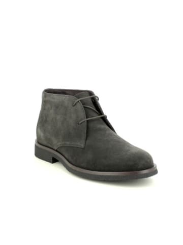 Geox Botines U in bunt