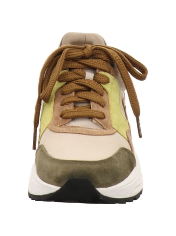 Xsensible Sneaker Low in bunt