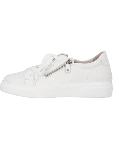 Gabor Sneakers Low in Weiss