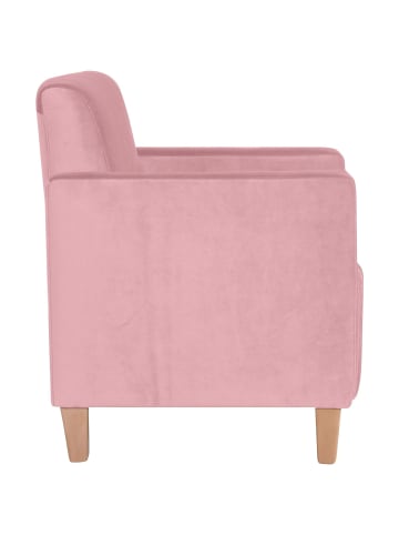 others SESSEL Karol Bezug Samtvelours Buche natur / rosé