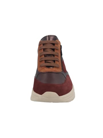 Solidus Damen- Schnürschuhe Holly Weite H in Braun
