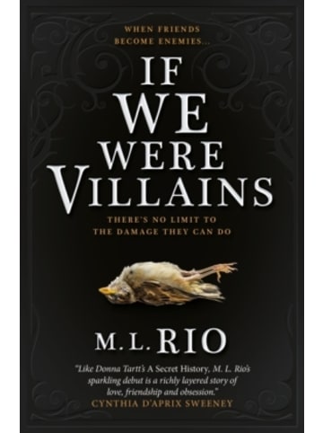 Titan Buch - If We Were Villains