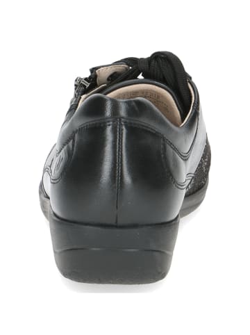 Caprice Schnürschuhe in black comb