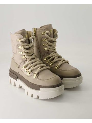 Canada Snow Schnürstiefeletten in Beige