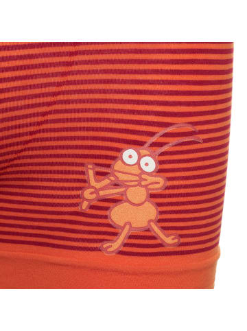 Kukuxumusu Boxershorts in Orange