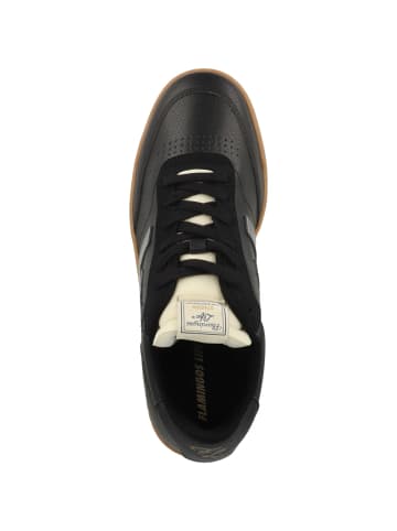Flamingos Life Sneaker low Stadion in schwarz