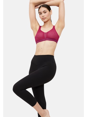 triaction by Triumph Sport-BH Energy Lite in Cerise