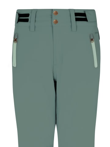 Protest " PRTCINNAMONES in Evergreen