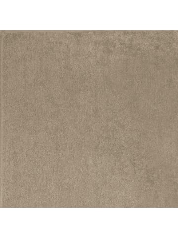 REDBEST Frottier Waschhandschuh 12er-Pack Chicago in taupe