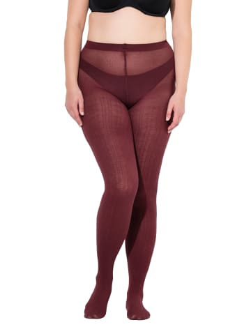 Ulla Popken Strumpfhose in bordeauxrot