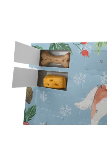 Mr. & Mrs. Panda Hund Adventskalender Cavalier King Charles Span... in Eisblau