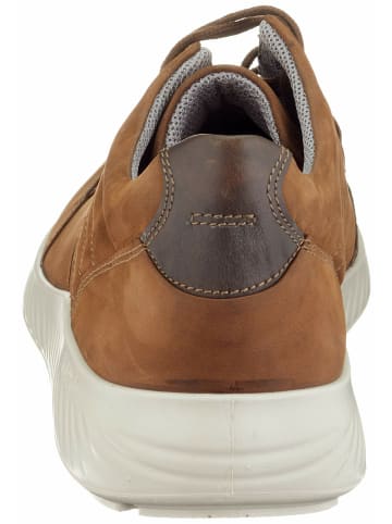 Jomos Sneaker für Herren in braun