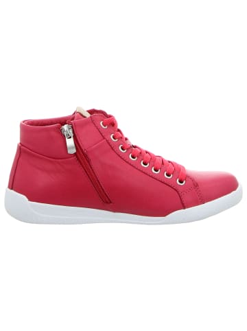 Andrea Conti Schnürstiefelette in pink