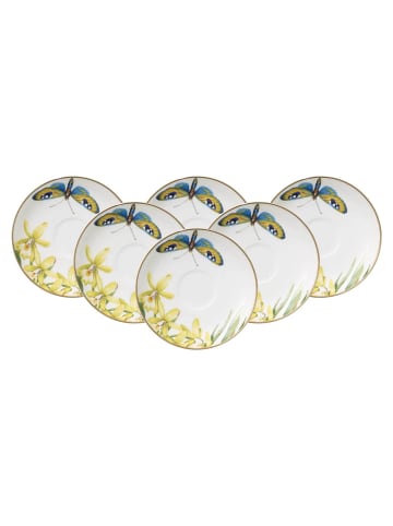 Villeroy & Boch 6er Set Mokka- / Espressountertassen Amazonia Anmut ø 12 cm in bunt