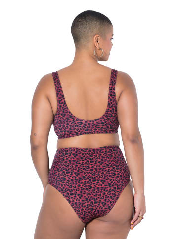 Studio Untold Bikini in aubergine