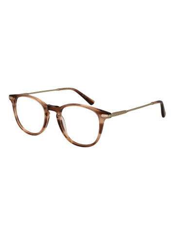 Savile Row Damen Optische Fassungen Panto Beige