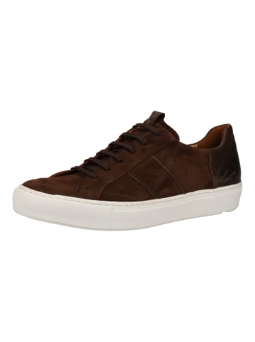 LLOYD Sneaker in Moro