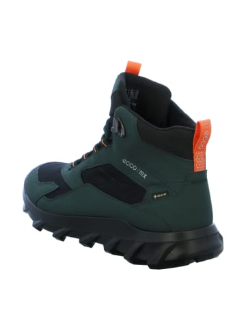 Ecco Wanderschuhe in Schwarz