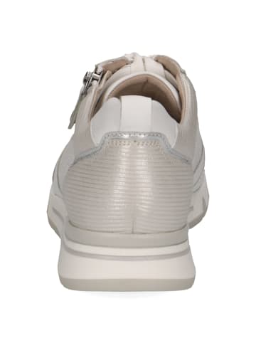 Caprice Schnürschuhe in white/silver