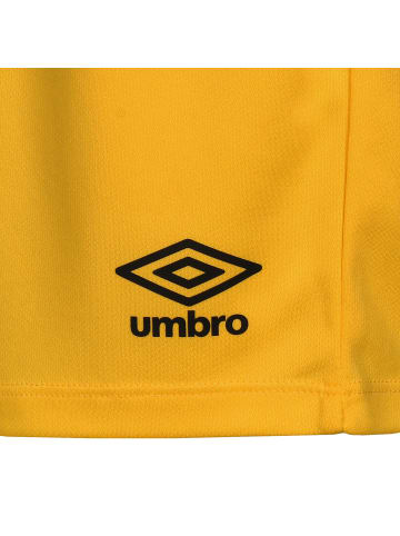 Umbro Trainingsshorts New Club in gelb / schwarz