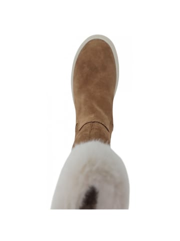 Geox Schaftstiefel Laquinny Girl in Beige