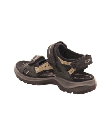 Ecco Outdoorschuh in oliv