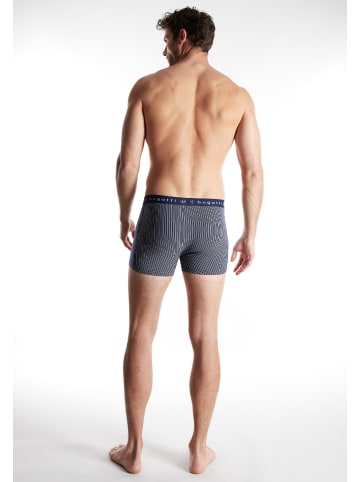 Bugatti Pants 3Er Pack Mailand in blau-dunkel-Streifen