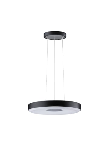 paulmann LED Pendelleuchte Puric Pane