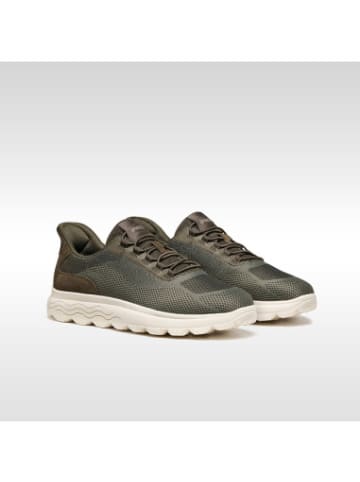 Geox Sneackers U in Military/Sage