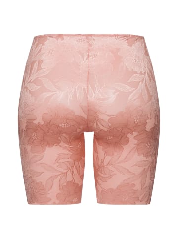Hanro Panty Tina in mocha powder