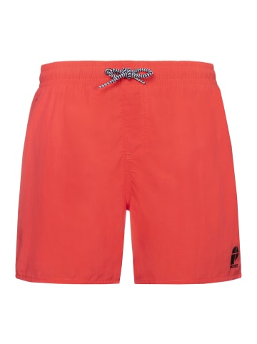 Protest " CULTURE JR in Sunburst