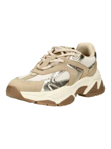 Steve Madden Sneaker in Beige