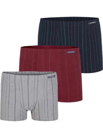 Jan Vanderstorm 3er Pack Retropant LEONELL in blau grau rot