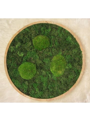 MeinVIPShop Moos Moosbild Wood rund 40cm "handmade"
