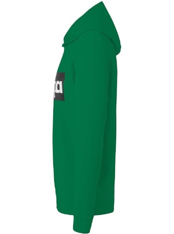 Kempa Hoodie "Promo Hoodie" in Grün