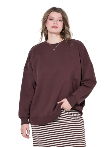 Studio Untold Sweatshirt in schokolade