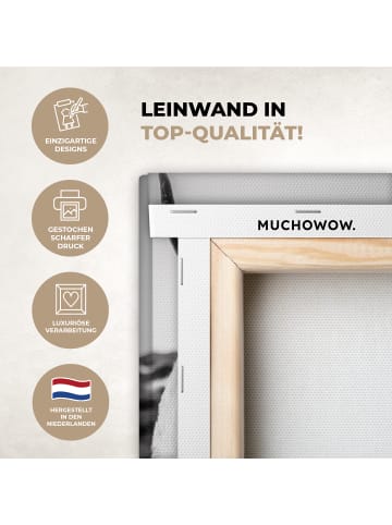 MuchoWow Leinwand bilder Schottisches Hochlandrind