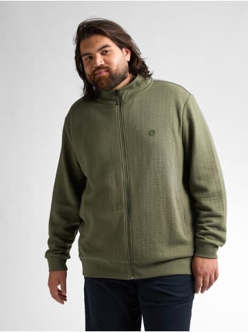 Petrol Industries Lässiger Cardigan in Plus Size Windcrest in Grün