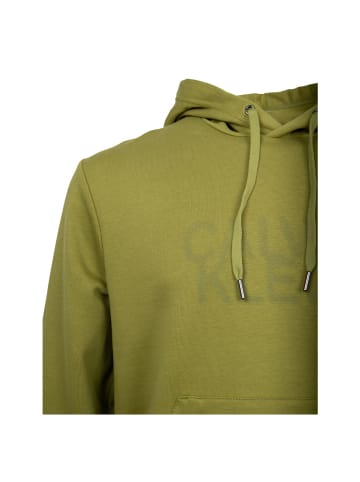 Calvin Klein Sweatshirt in Grün